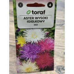 Aster wysoki igiełkowy Mix Aster wysoki igiełkowy Mix